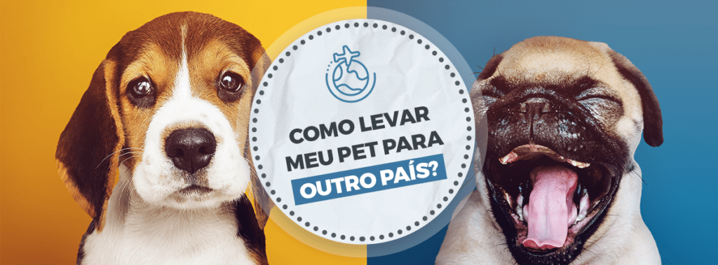 Como levar meu pet para outro país?