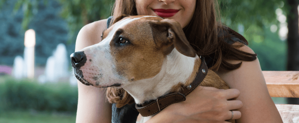 Pets com sobrenome