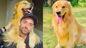 Cão Joca