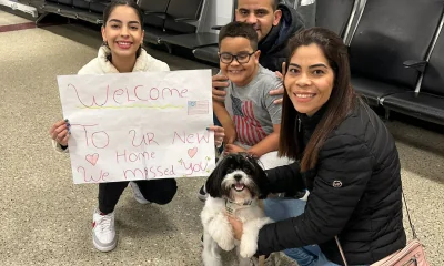 Reencontro seguro da família com seu pet no destino